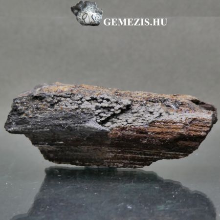 Mocsrciprus fosszlia ritka Duxit gyantval, Kvarc szemcskkel 18g