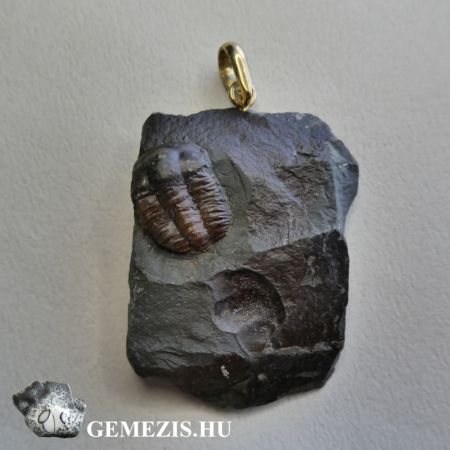 Trilobita fosszlia apr kzetben medlknt szerelkelve 17gramm