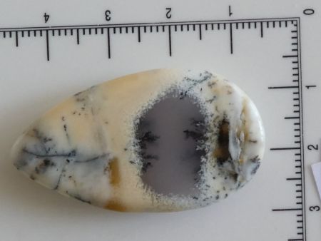 Dendrites Opl - Merlinit csiszolt szelet 8,45 gramm