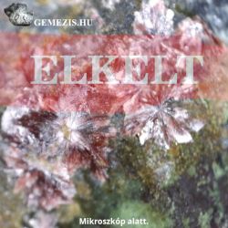  Eritrin s Konikalkit svnytrsuls 22 gramm