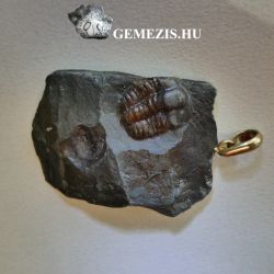  Trilobita fosszlia apr kzetben medlknt szerelkelve 17gramm