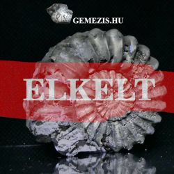  Ammonitesz fosszlia Pirit svny lalak 58 gramm