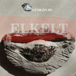  Tarisznyark fosszlia Pliocn kor 298 gramm