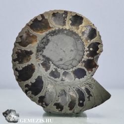  Ammonitesz fosszlia Pirit svny lalak 8 gramm