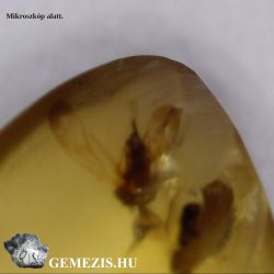  Burmai borostyn (burmit) szrnyas rovar zrvnyval. 0,4g