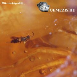  Dominikai borostyn rovar zrvnyokkal 1 gramm