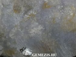  Levendula szn kzet Korall fosszlikkal. 21 gramm
