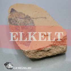  Levl fosszlia mocsrciprus s gerfa kvlet 51 gramm