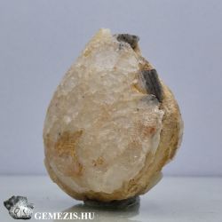  Kagyl fosszlia opl lalak 16 gramm