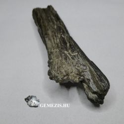 Uszadkfa fosszlia Marmazit rtegekkel 32 gramm