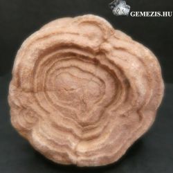  Sztromatolit fosszlia ledk homokk 252 gramm